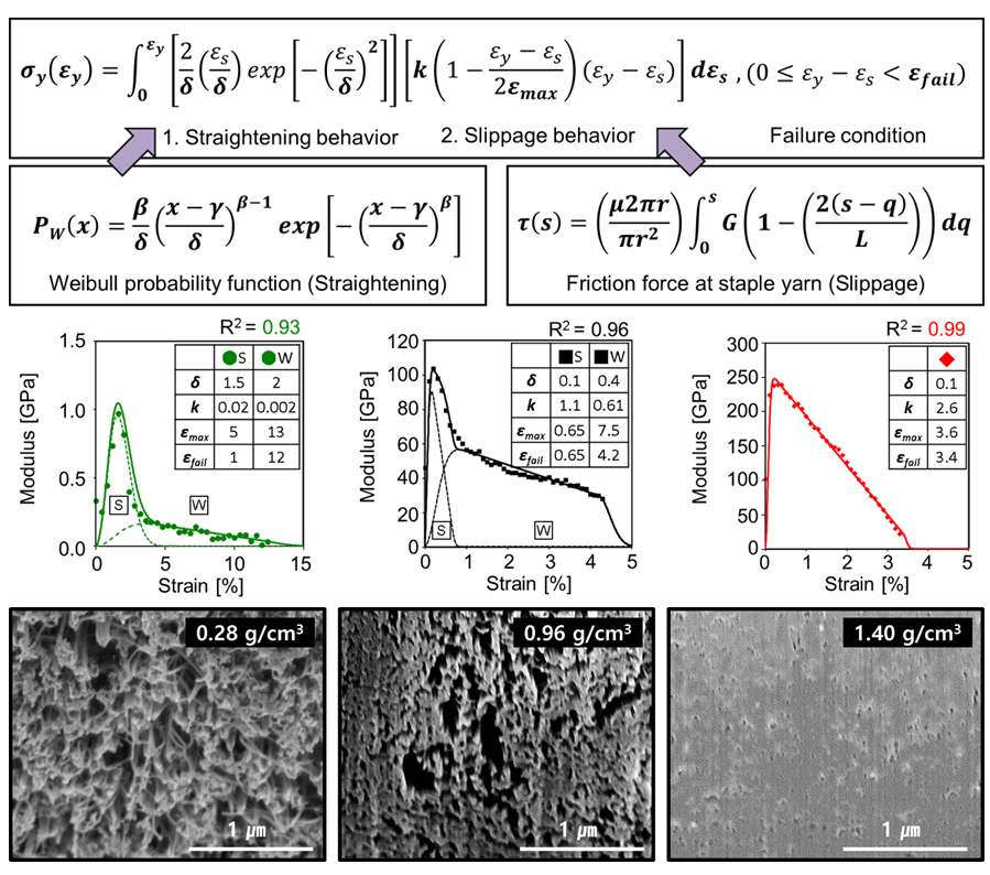 Correlation between structure and mechanical behavior CNTF